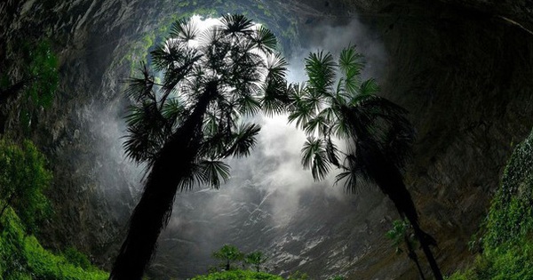 Unexpectedly, discovered “fairy forest” in a giant sinkhole