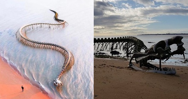 Although the image of a giant monster skeleton emerging from the sea causes fear, tourists still flock to check-in.