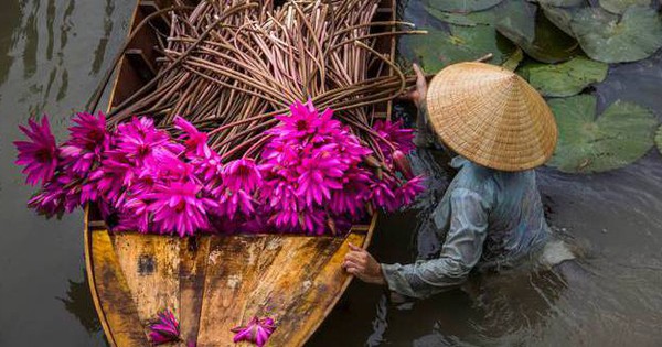 New Zealand newspaper listed 10 reasons why tourists should come to Vietnam