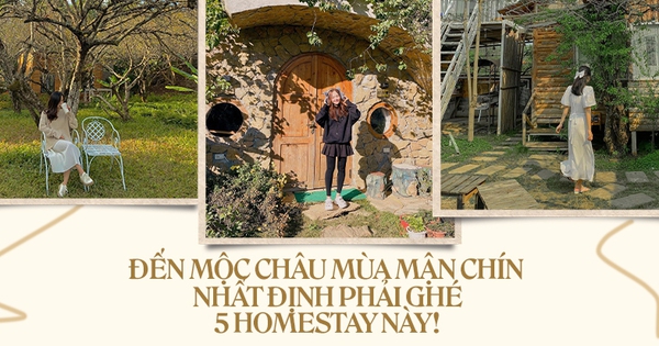 Coming to Moc Chau in the ripe plum season, you must immediately pin these 5 beautiful homestays: All 3 criteria chill – genuine