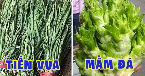 cách chế biến rau tiến vua