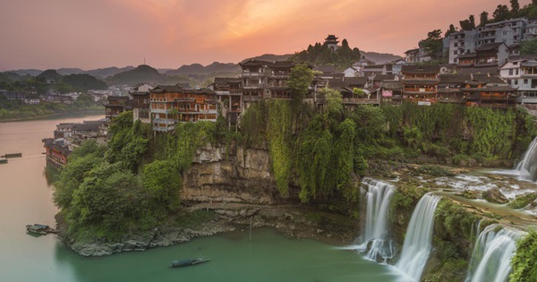 “Suspended” over a waterfall, harmless and gorgeously named after a flower