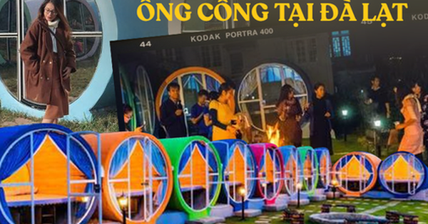 Homestay ống cống có 1-0-2 tại Đà Lạt: Biến lốp xe cũ thành cầu thang, ghế ngồi di động siêu tiện lợi, có muôn vàn góc “sống ảo” cực phiêu!