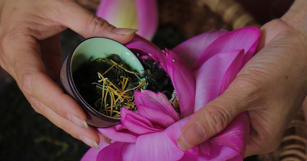 The feat of marinating tea encapsulates the quintessence of thousands of West Lake lotus flowers