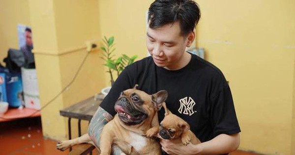 Hanoi chef invests billions in raising expensive French Bulldogs