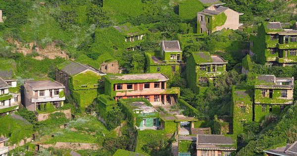 The richest but abandoned, now becoming a “green pearl” that is sought after by tourists