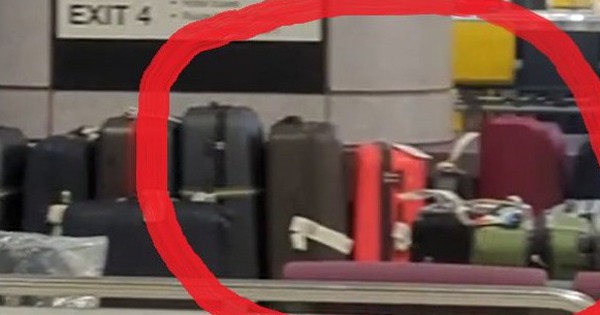 The big family lost 7 suitcases, making the trip a nightmare and suddenly found it on TV