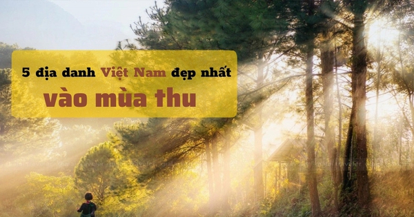 5 nơi đẹp nhất vào mùa thu ở Việt Nam: Địa danh cuối cùng các cặp đôi không nên bỏ lỡ