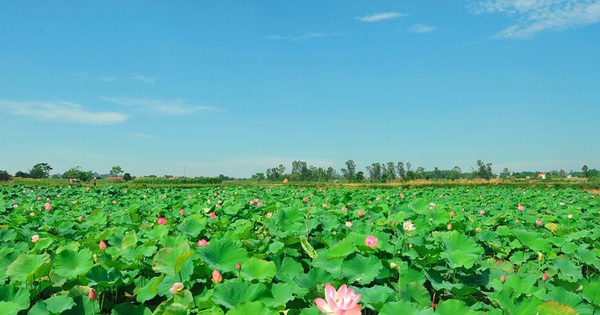 Ngỡ ngàng trước cảnh thanh bình ở di sản Thành nhà Hồ