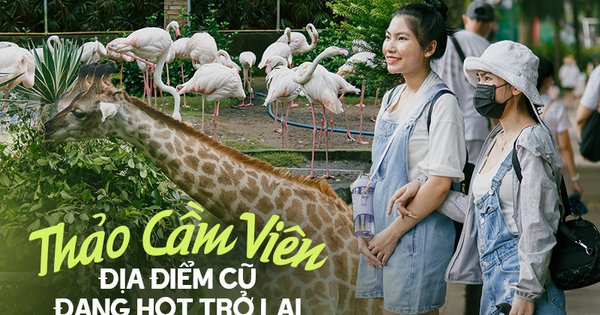 Thảo Cầm Viên - địa điểm “cũ” đang nổi trở lại: Có gì thú vị mà giới trẻ kéo nhau đến rần rần?