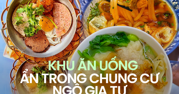 Ghé chung cư Ngô Gia Tự (TP.HCM) - 