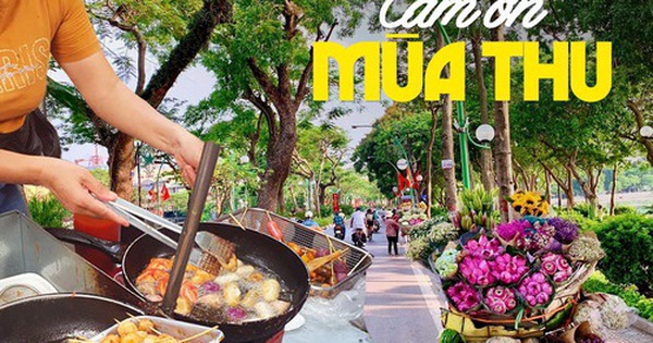 Mùa thu đã giúp nhiều người Hà Nội cải thiện thu nhập, cô hàng hoa có thêm tiền đóng học phí cho con