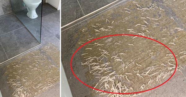
                                    Bà mẹ lên mạng cầu cứu sau khi gặp ''ác mộng'' trong nhà tắm