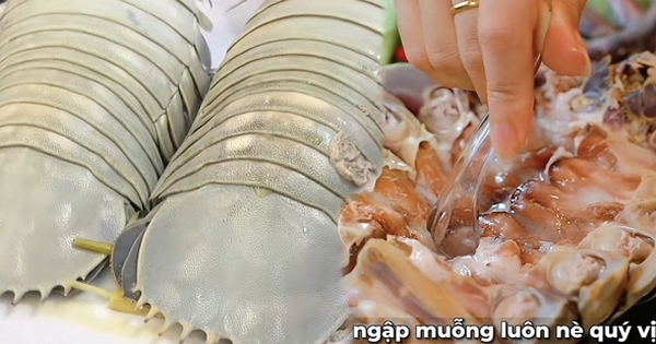 
                                    Con bọ biển - món ăn được nhiều người săn tìm ở khắp hàng quán đến vựa hải sản với giá vài triệu/con, nhưng liệu có đáng?