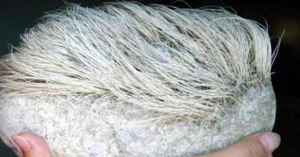 
                                    Cụ ông nhặt được viên đá ''mọc tóc bạc phơ'', chuyên gia lập tức yêu cầu phong tỏa cả làng