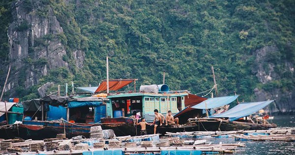 Làng chài Việt lọt top ''những ngôi làng cổ tích đẹp như tranh'' trên thế giới: Có cả núi và biển, cách Hà Nội chỉ 2 giờ chạy xe