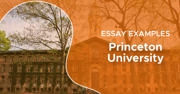 Bài luận 500 từ chinh phục Đại học Princeton: 