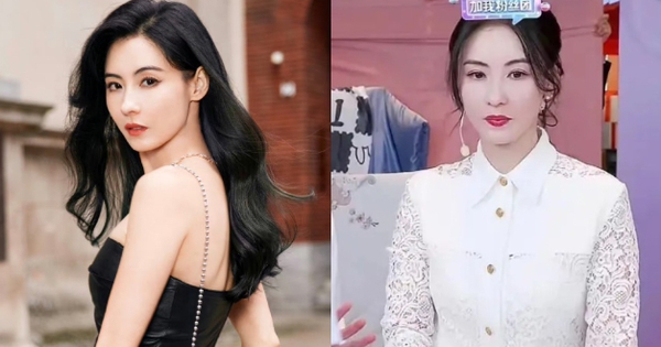 View - Trương Bá Chi đang mang thai con thứ 4, chi tiền khủng mua tinh trùng từ nhân vật có gen ưu việt?