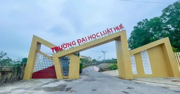 View - Những chiếc cổng trường "bá đạo" nhất Việt Nam: Từ parabol đến thiết kế xiêu vẹo, "gi gỉ gì gi" dáng gì cũng có