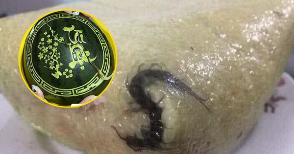 View - Những sự cố ăn uống đầu năm cười rớt nước mắt: Gà "full" mỡ, dưa hấu bị "kẻ gian" làm nứt đôi