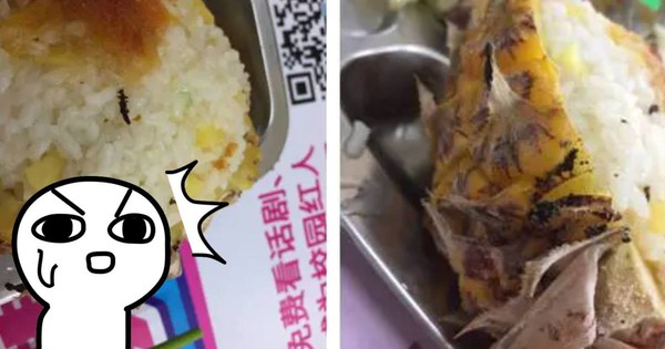 View - Học bá phát hiện côn trùng lạ trong cơm canteen, đọc thư khiếu nại mà choáng váng: Người học giỏi đi kiện cũng ở level khác!