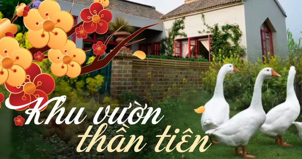 Gallery - Cặp vợ chồng 40 tuổi "trốn phố" về quê