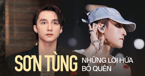 Những lời hứa bỏ quên của Sơn Tùng M-TP - Ảnh 3.