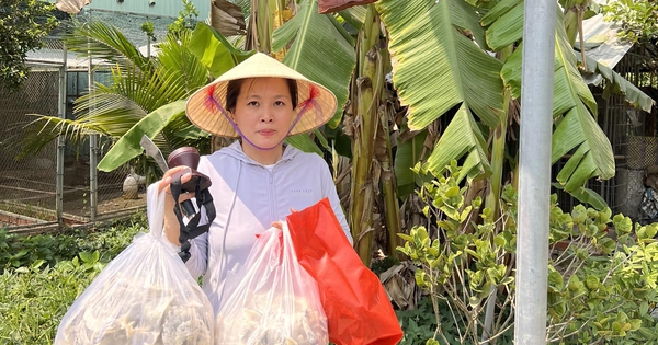 View - Đôi vợ chồng gom “lộc trời” thu nhập tiền tỷ mỗi năm, 7 năm trước ra quyết định quan trọng