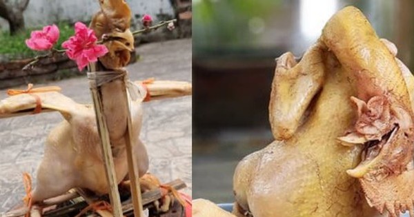 Gallery - Những màn luộc gà thảm họa ngày Tết gây sốt mạng