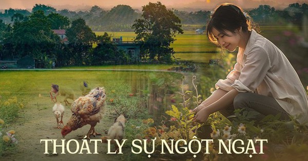 View - Cô gái 8x bỏ tất cả trở về quê để sống không áp lực lại khiến nhiều người khen chê trái chiều