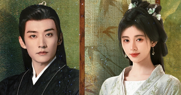 Gallery - Hoa Gian Lệnh bất ngờ phá kỷ lục 2024, đẹp từng khung hình