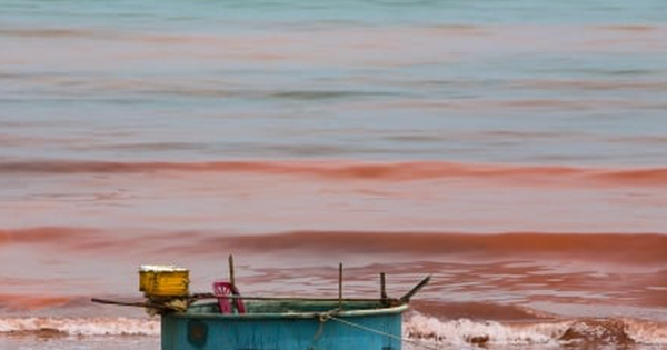  Nước biển ở Hà Tĩnh có màu đỏ như 