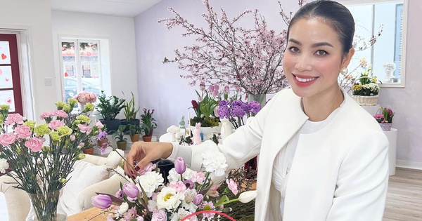 Gallery - Phạm Hương bị soi chi tiết khó hiểu sau khi công khai danh tính chồng đại gia ở Mỹ