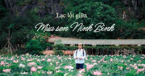 Mùa sen Ninh Bình bắt đầu nở rộ rồi, thời điểm đẹp nhất để "săn ảnh" hoa sen đây chứ đâu!