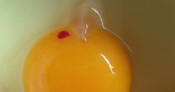 Đập trứng gà thấy vệt màu đỏ hay trắng đục, nên ăn hay bỏ đi?