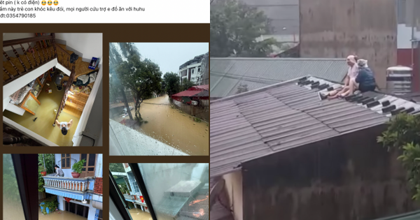 Xót xa những lời cầu cứu trong trận lũ lịch sử: "Nước đang dâng, nhà có 4 trẻ em, không còn đồ ăn…"