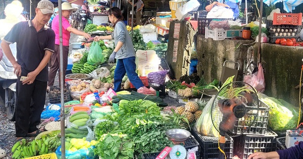 Bà nội trợ giật mình với giá rau xanh tăng gấp 3 lần, rau muống, rau cải tới 25.000 đồng/mớ