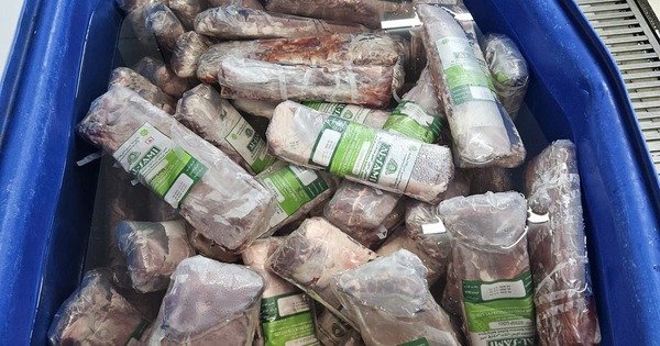 Hà Nội: Phát hiện "công nghệ" bơm tinh chất biến thịt trâu Ấn Độ thành 14 tấn bò WAGYU