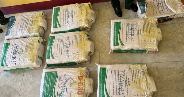 Giám định 500 kg tinh thể nghi ma túy phát hiện ở Quảng Trị