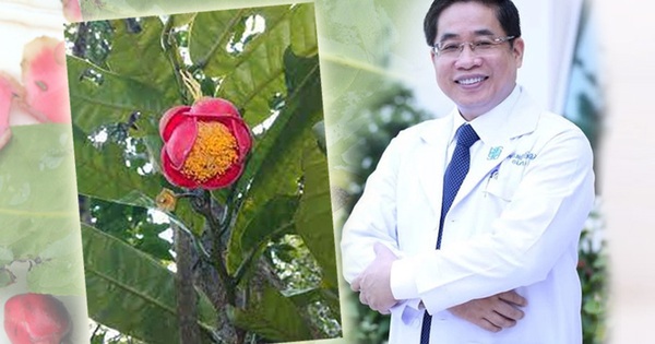 "Kho báu" mới được phát hiện tại Gia Lai mang tên của một vị bác sĩ nổi tiếng, đó là ai?