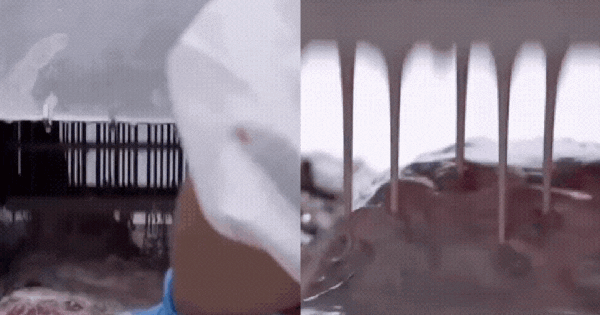 Cận cảnh quá trình bơm tinh chất “hô biến” thịt trâu đã giết mổ cả năm thành bò Wagyu thượng hạng