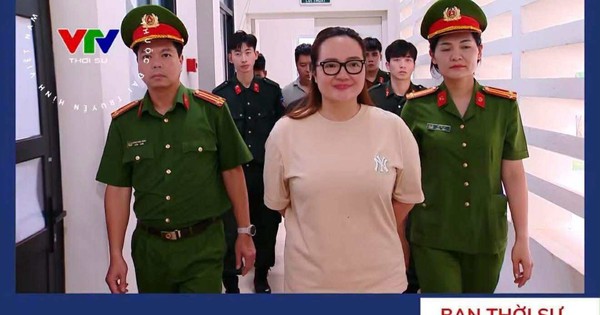 Vì sao Hoàng Hường bị bắt?