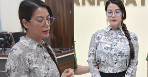 Diễn viên Trương Ngọc Ánh bị bắt vì tội gì?