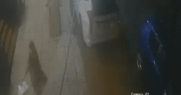 Cô gái bị đâm tử vong trên vỉa hè ở TP. HCM: Camera an ninh hé lộ toàn bộ diễn biến