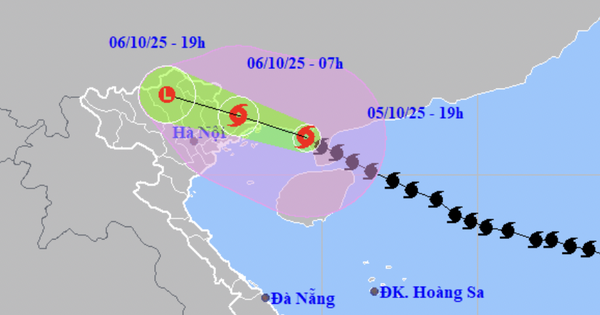 Tin bão số 11 Matmo mới nhất: Giật cấp 15, cách Quảng Ninh 150km, dự báo khu vực mưa to đến rất to khi bão đổ bộ