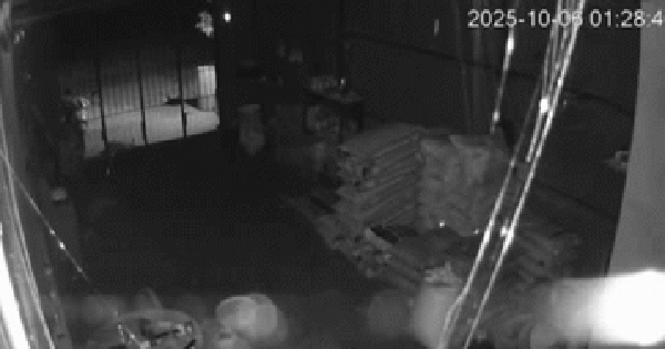 Clip động đất ở Quảng Ngãi rạng sáng 6/10, 19 trận động đất trong một đêm