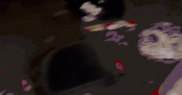 Hầm chung cư thành bể nước khổng lồ, thủy kích hàng trăm xe máy và ôtô