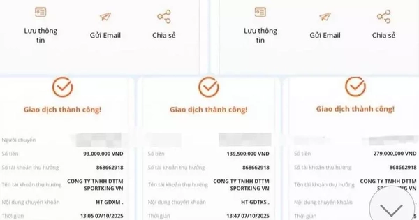 Tham gia nhóm pickleball trên mạng, người phụ nữ bị lừa mất hơn 600 triệu đồng