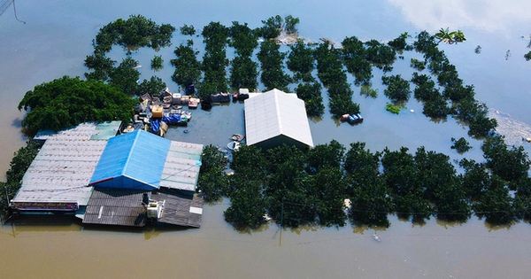 Lũ trên sông Cầu tại Hà Nội và Bắc Ninh đang lên, nguy cơ ngập lụt kéo dài