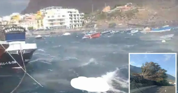 Sóng thần tấn công đảo Tenerife của Tây Ban Nha, 3 người tử vong